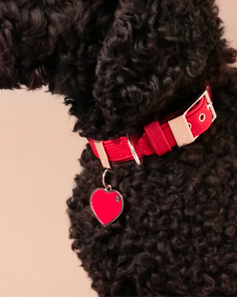 Handmade Heart Tag in Really Red Custom Pet ID Tag - Image 2