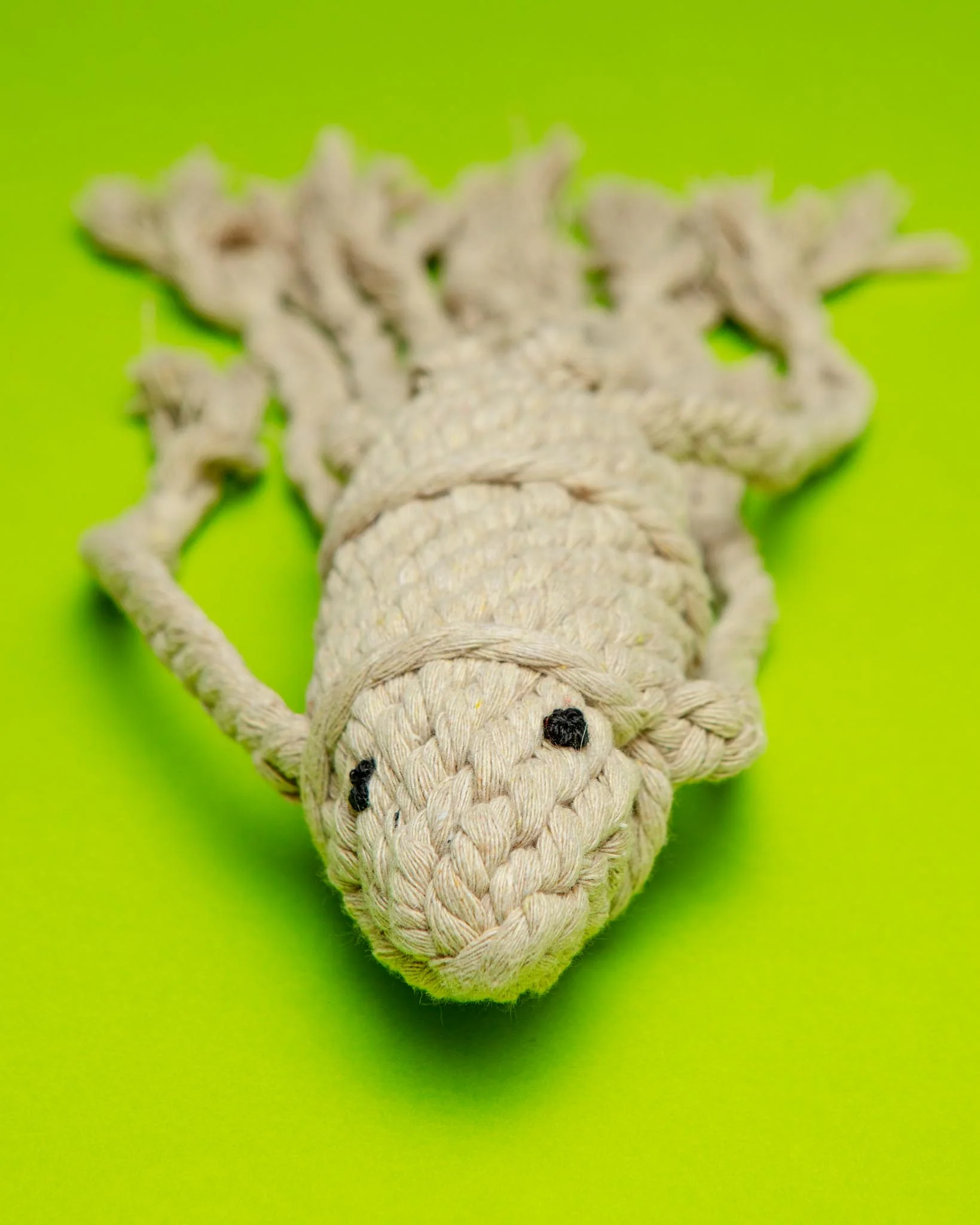 Handmade Sustainable Squid Dog Rope Toy - Image 3