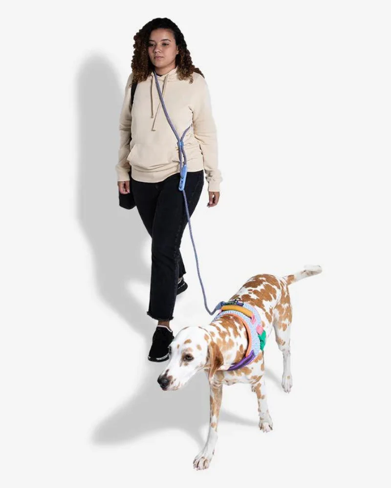 Hands-Free Adjustable Dog Leash - Image 12