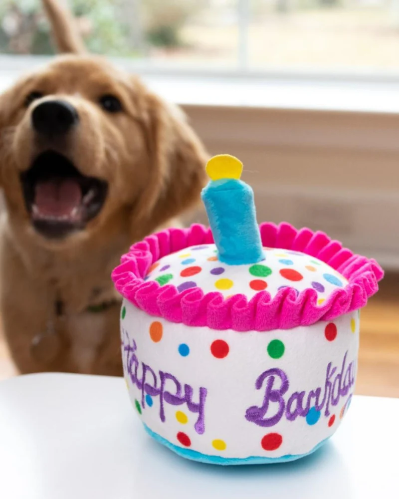 Happy Barkday Plush Squeaky Dog Toy - Image 3