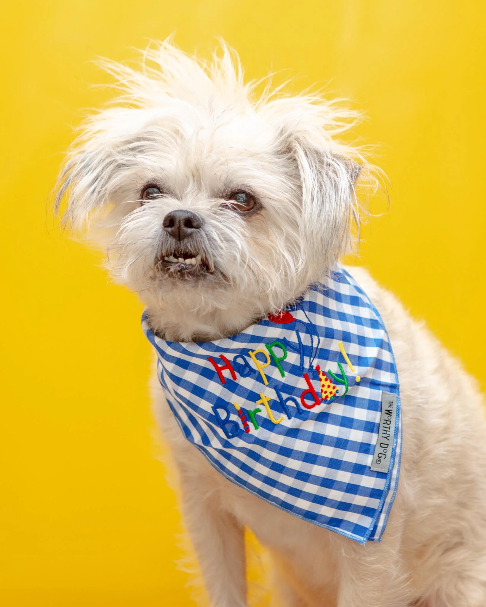 Happy Birthday Gingham Dog Bandana