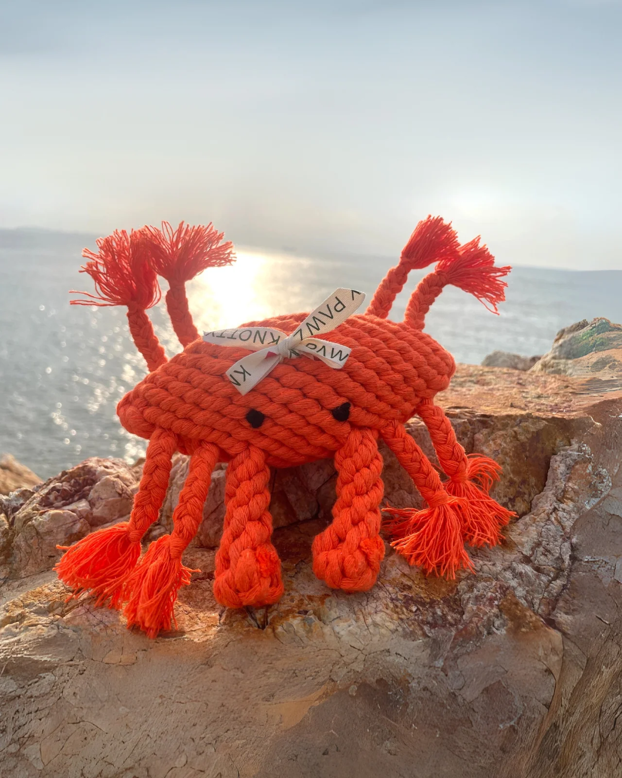Happy The Crab Sustainable Handmade Nautical Dog Rope Toy - Image 2