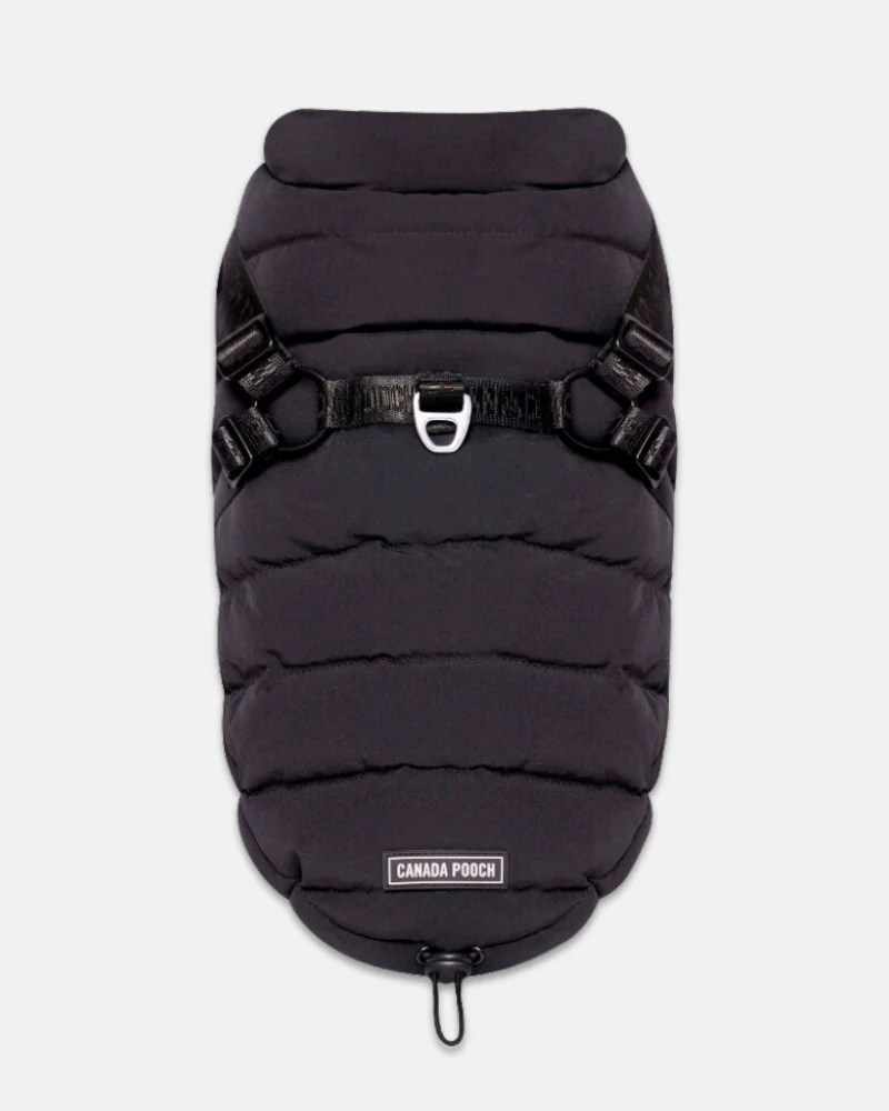 Harness Puffer Dog Jacket in Black (FINAL SALE)