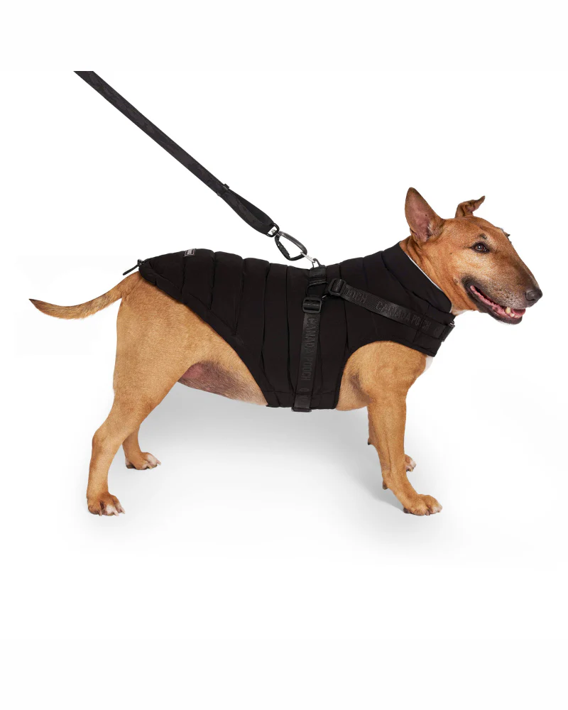 Harness Puffer Dog Jacket in Black (FINAL SALE) - Image 6