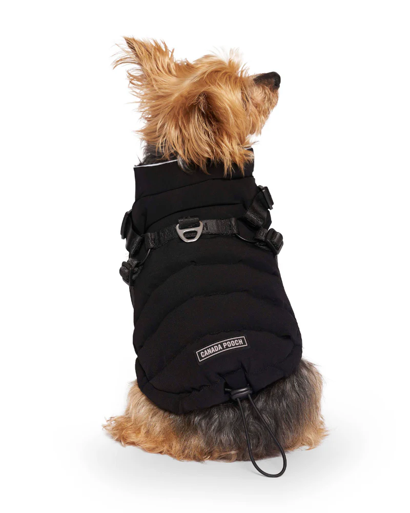Harness Puffer Dog Jacket in Black (FINAL SALE) - Image 8