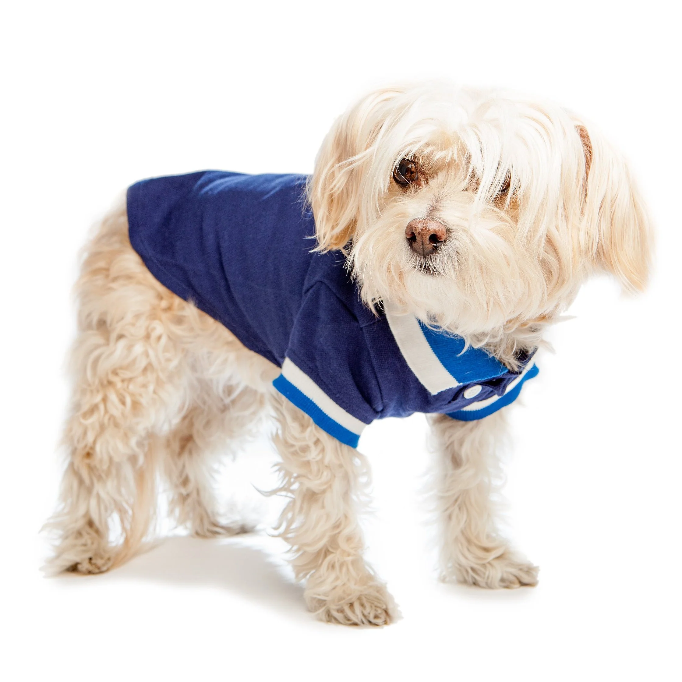 HARRY BARKER | Polo Shirt in Navy - Image 2