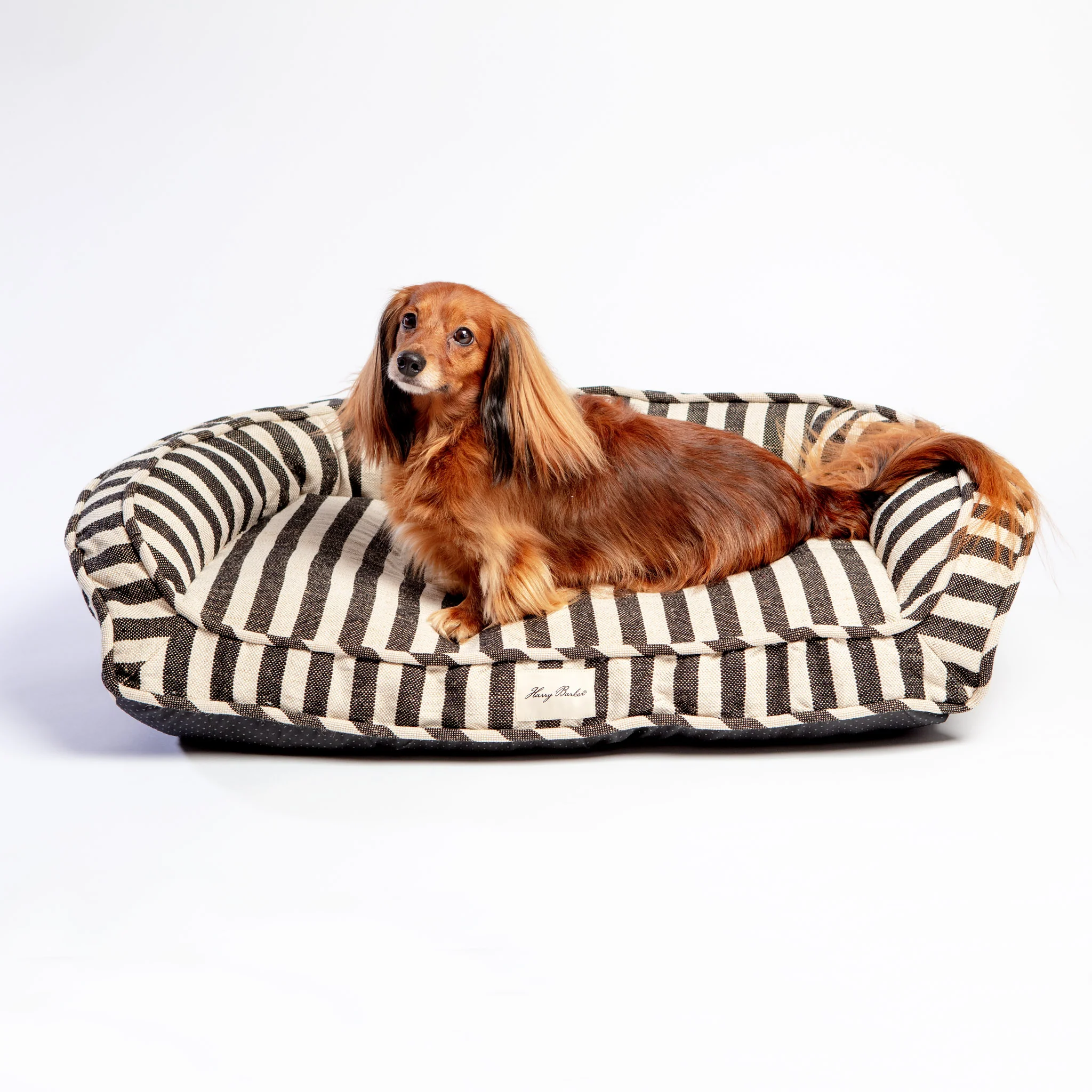 Ortho-Lounger Dog Bed (Direct-Ship) - Image 10
