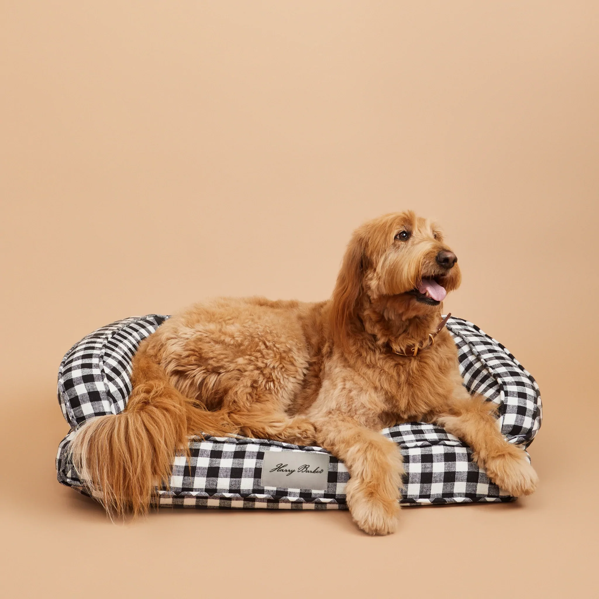Ortho-Lounger Dog Bed (Direct-Ship) - Image 4