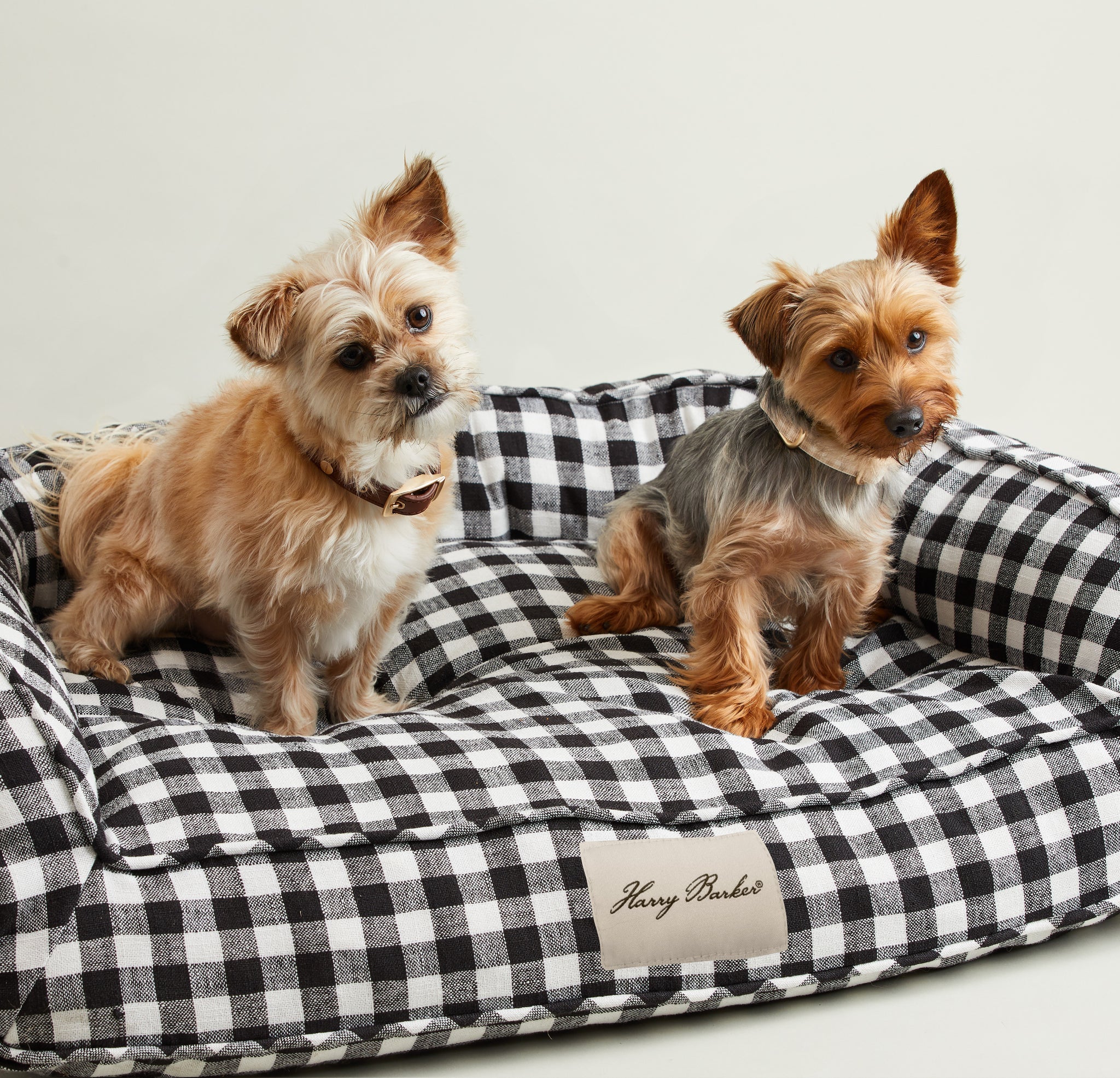 Ortho-Lounger Dog Bed (Direct-Ship) - Image 5