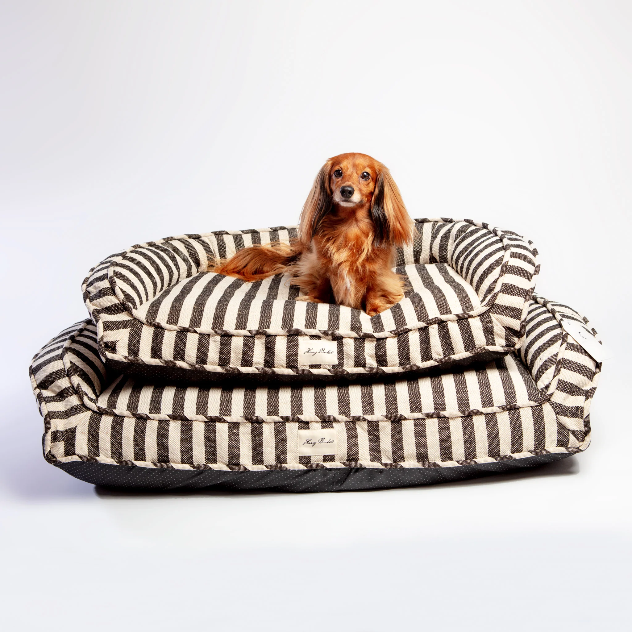 Ortho-Lounger Dog Bed (Direct-Ship) - Image 9