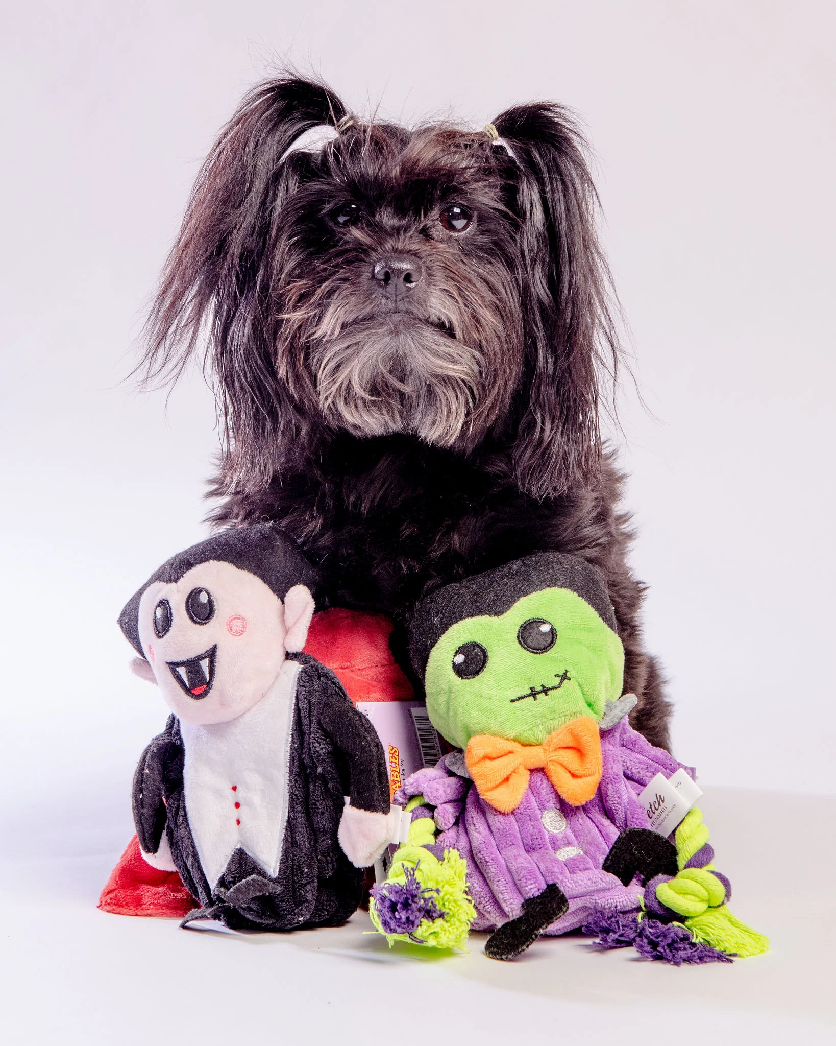 Hatchables Howl-O-Ween Frank-O-Lantern Interactive Dog Toy - Image 7
