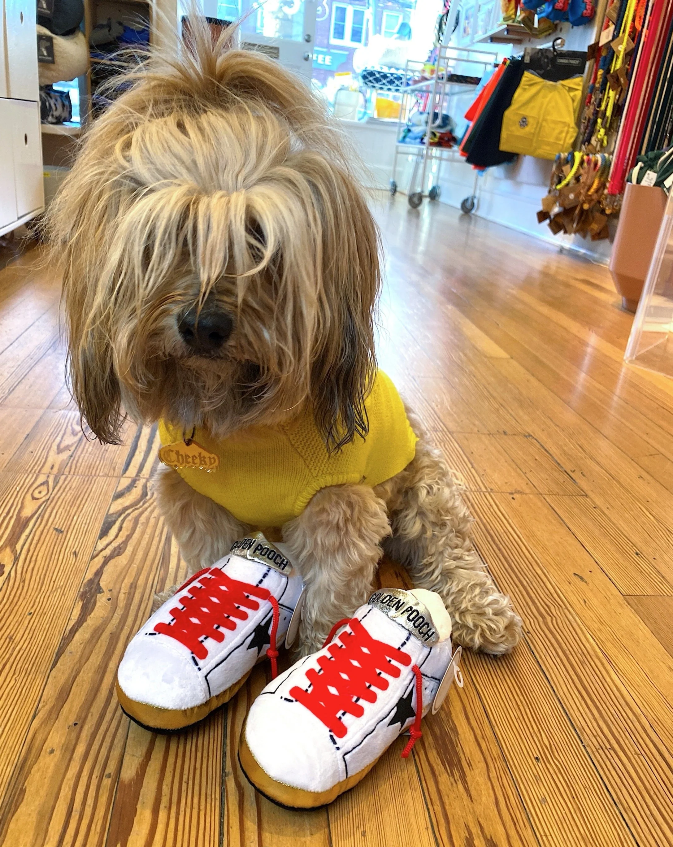 Golden Pooch Sneaker Plush Dog Toy - Image 6
