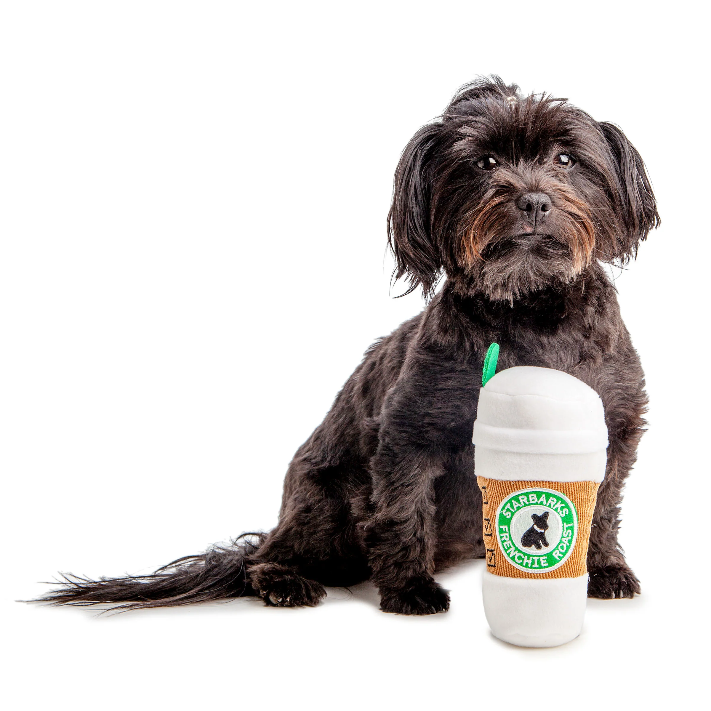 Starbarks Coffee Cup Plush Dog Toy - Image 5