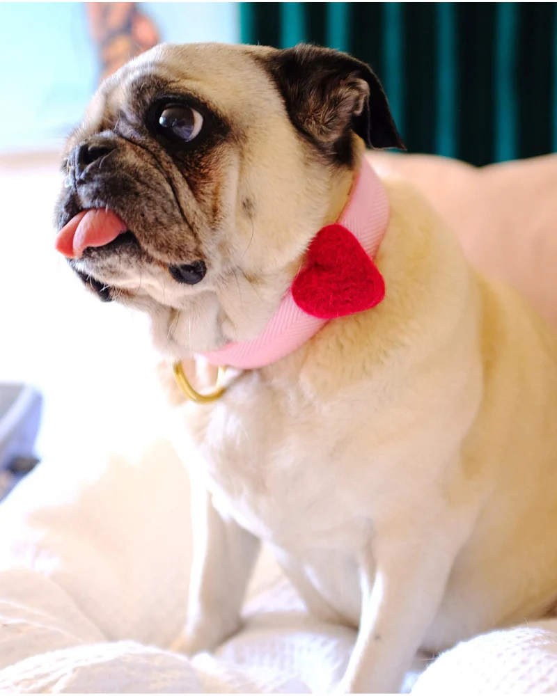 Heart Dog Collar Accessory in Pink (Made in the USA)