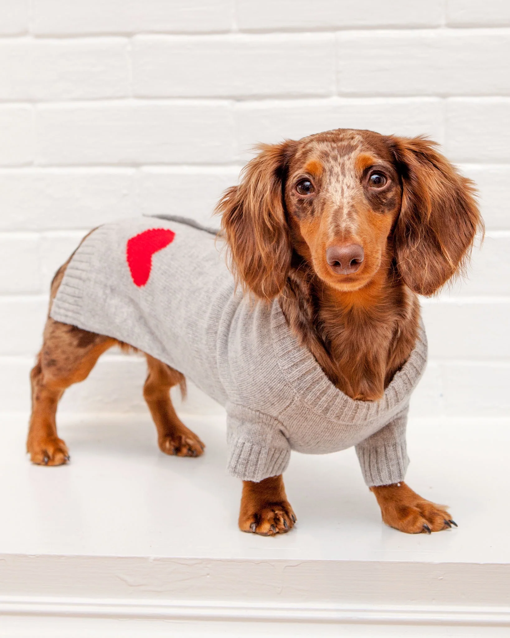 Heart Merino Wool Dog Cardigan Sweater in Grey (FINAL SALE) - Image 3