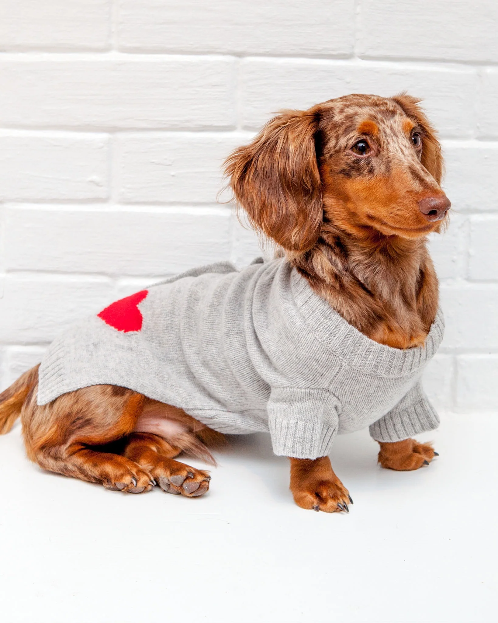 Heart Merino Wool Dog Cardigan Sweater in Grey (FINAL SALE) - Image 4