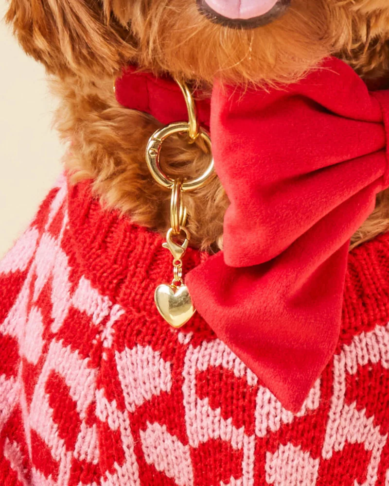 Heart of Gold Collar Dog Charm - Image 2