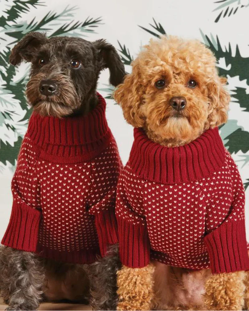 Heart Stitch Turtleneck Dog Sweater (FINAL SALE) - Image 3