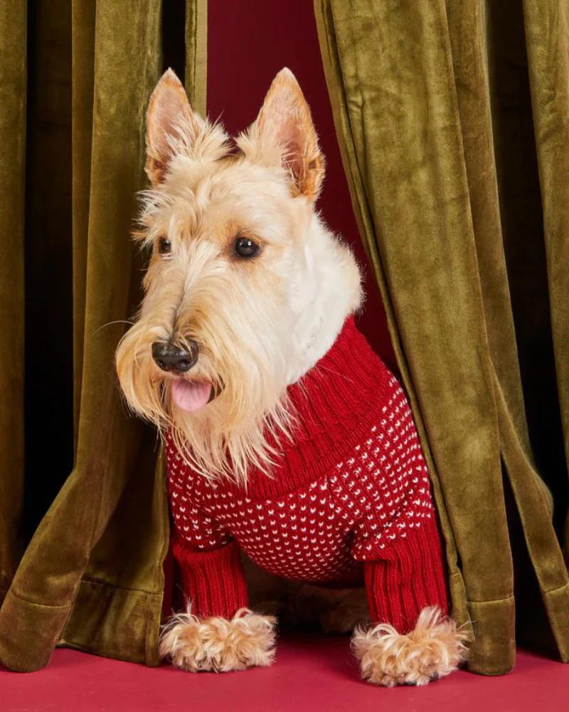 Heart Stitch Turtleneck Dog Sweater (FINAL SALE) - Image 5