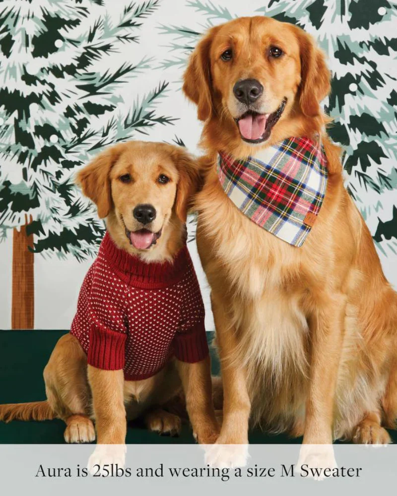 Heart Stitch Turtleneck Dog Sweater (FINAL SALE) - Image 6