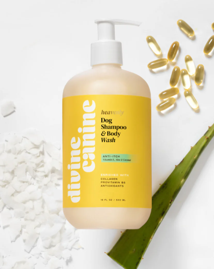 Heavenly Anti-Itch Dog Shampoo & Body Wash (FINAL SALE) - Image 3