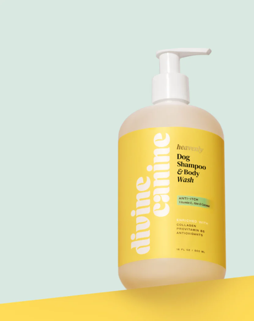 Heavenly Anti-Itch Dog Shampoo & Body Wash (FINAL SALE) - Image 5