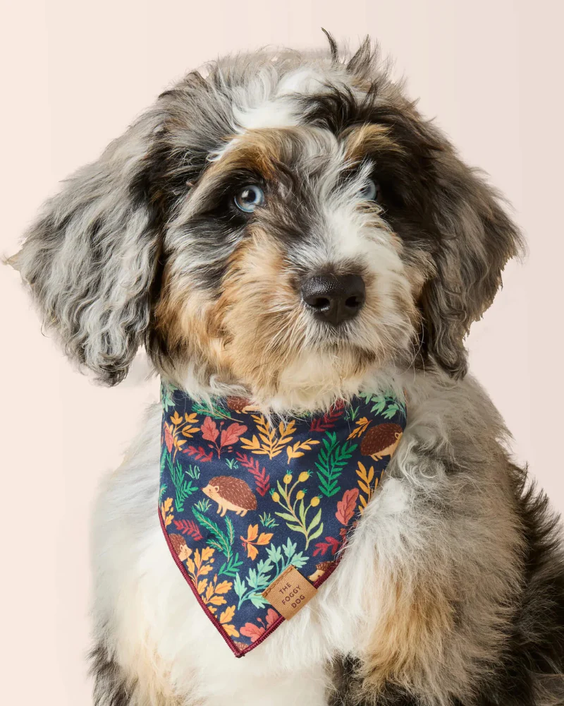 Hedgehog Hollow Cotton Dog Bandana (Made in the USA) (FINAL SALE) - Image 3