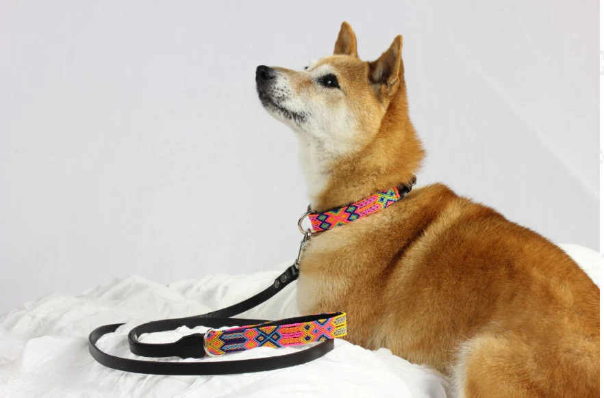 HEKA PET | Coral Leather Collar - Image 5