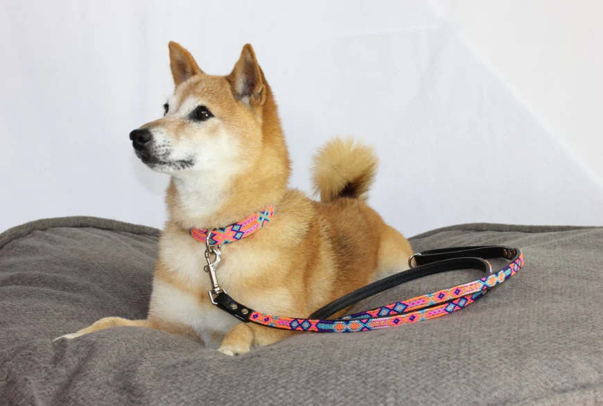 HEKA PET | Coral Woven Leather Leash