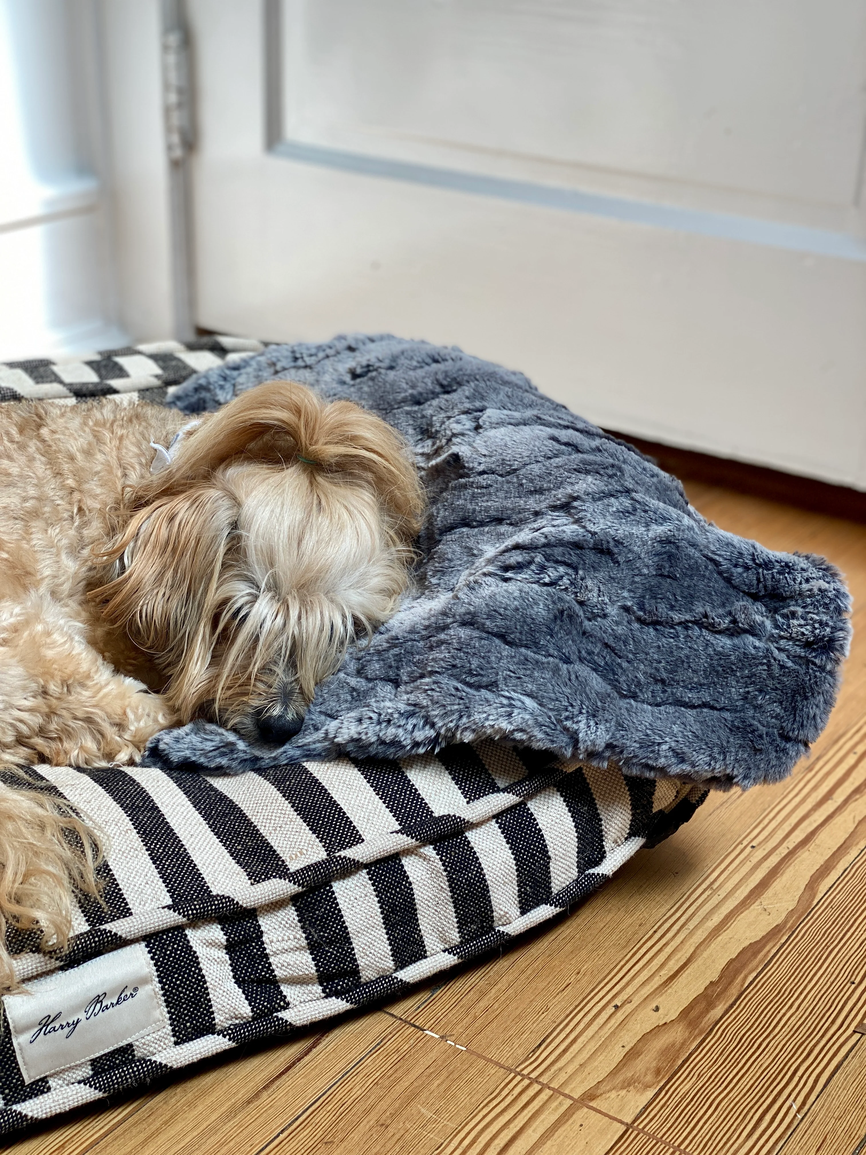 Luxe Granite Plush Dog Blanket (Made in the USA) - Image 8