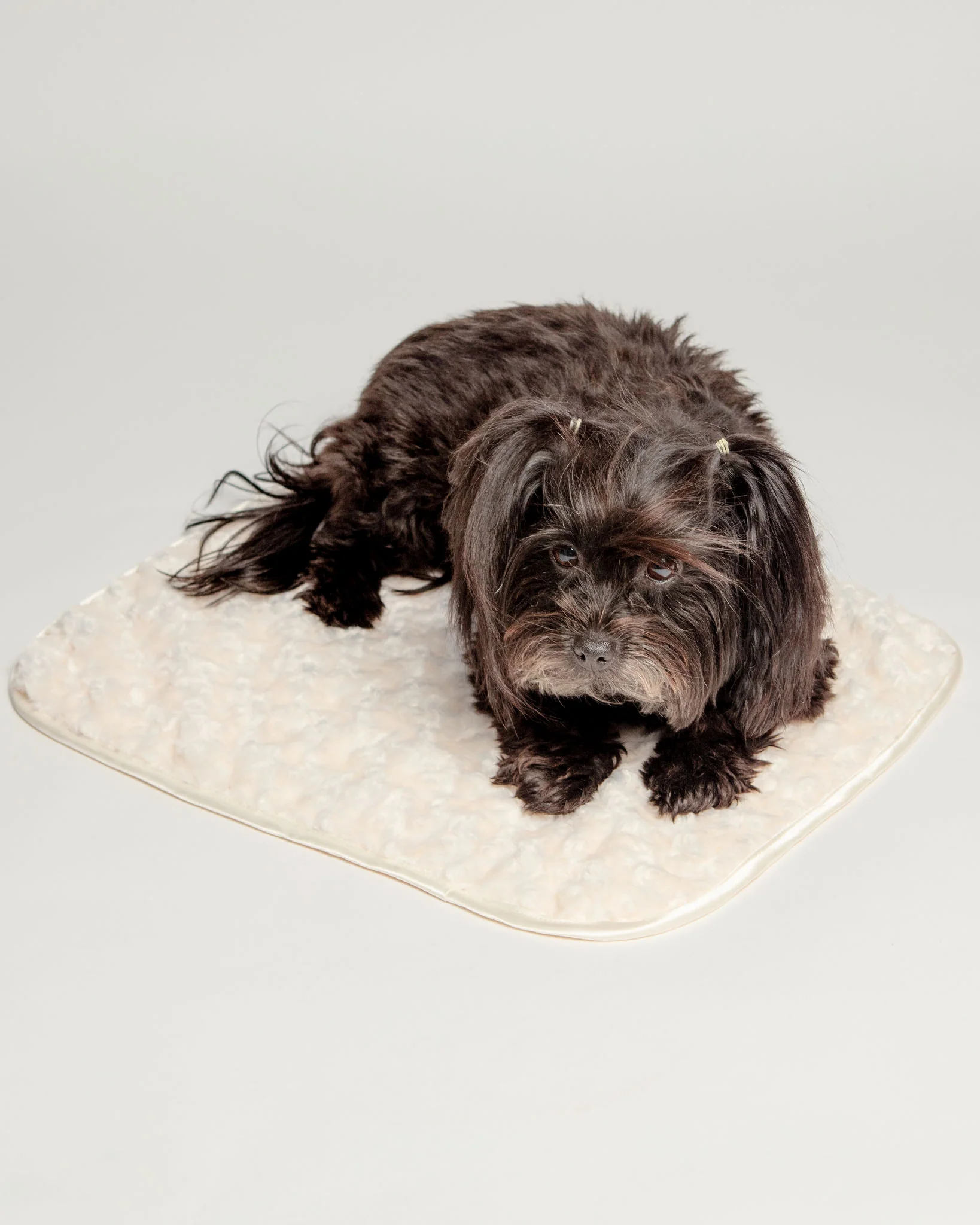 Rosebud Dog Blanket in Cream (Made in the USA) - Image 6