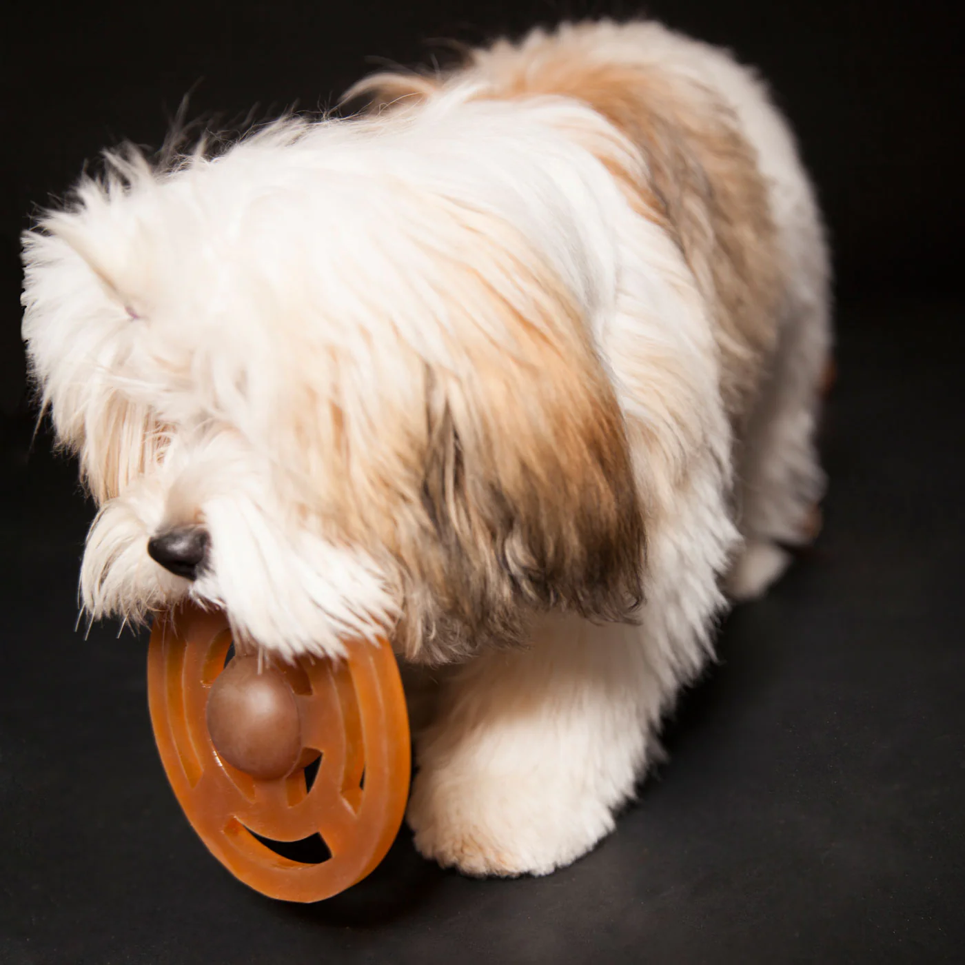 HEVEA | Galaxy Disc Frisbee Toy - Image 2