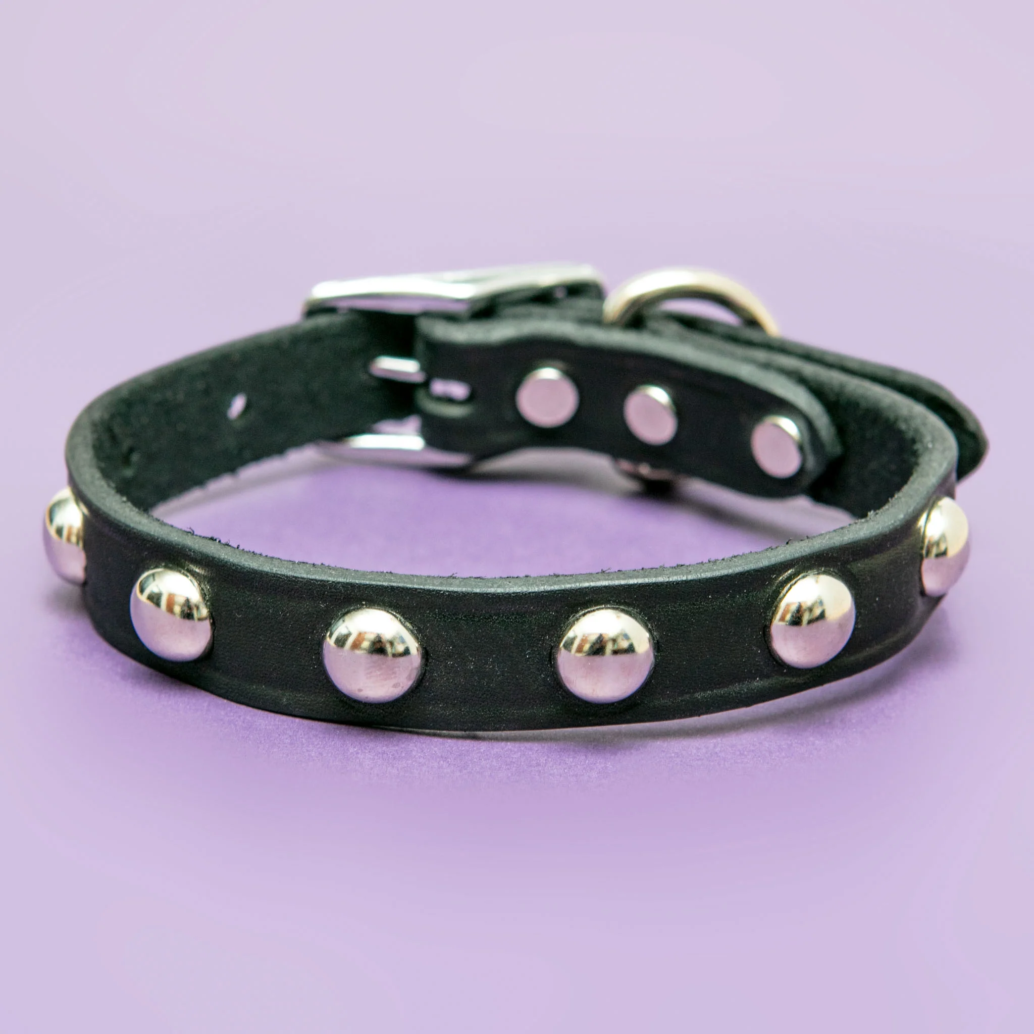 Hey Stud Black Leather Dog Collar (Made in the USA) (FINAL SALE) - Image 2