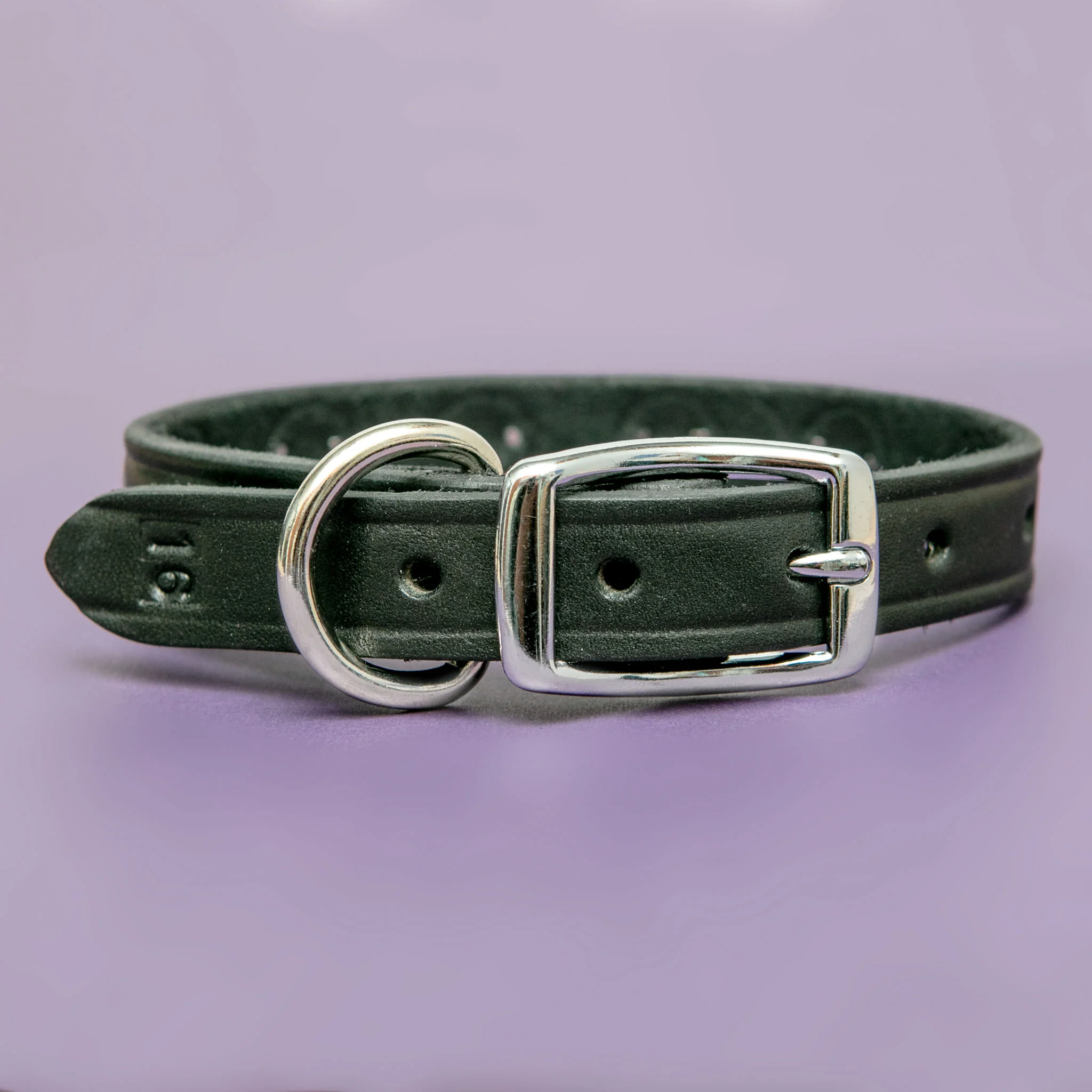 Hey Stud Black Leather Dog Collar (Made in the USA) (FINAL SALE) - Image 3
