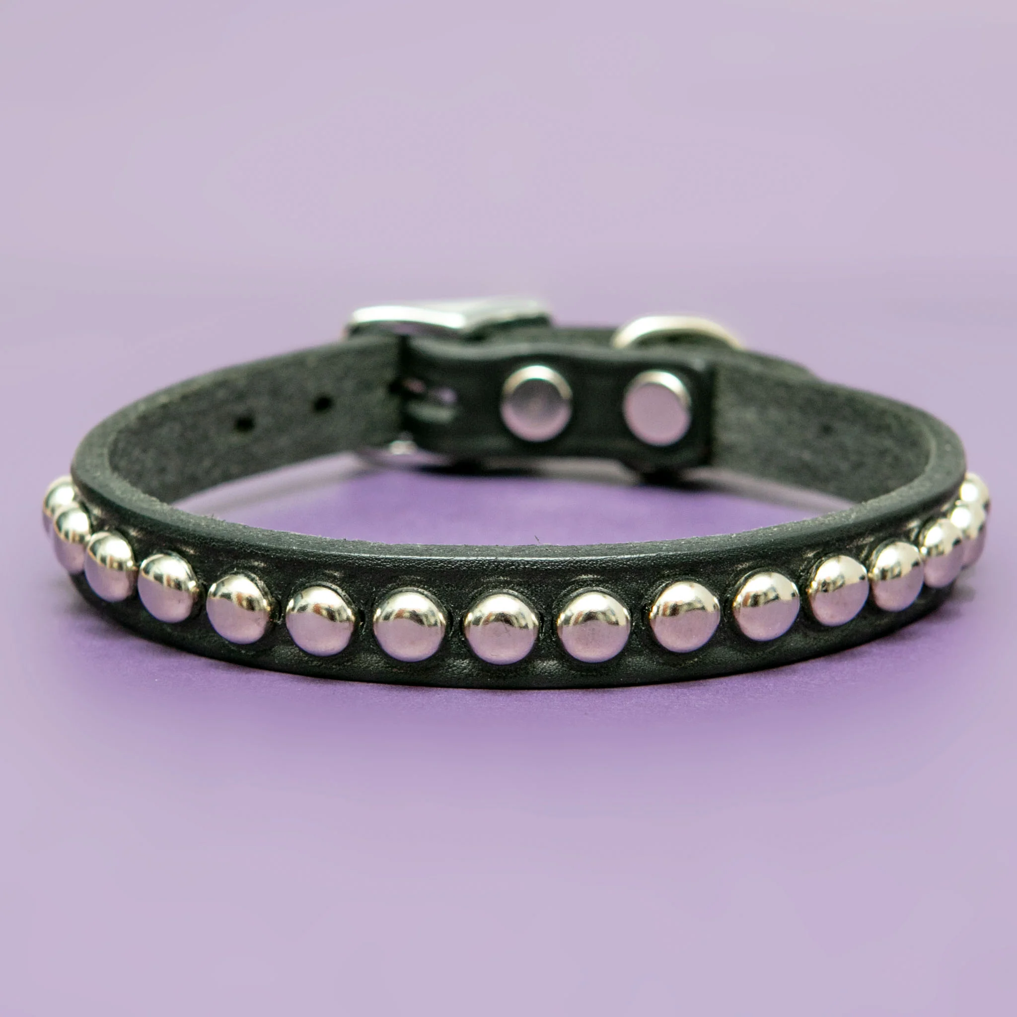 Hey Stud Black Leather Dog Collar (Made in the USA) (FINAL SALE) - Image 4