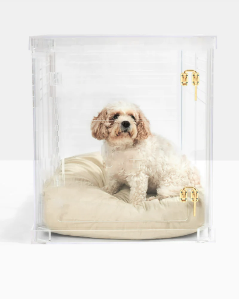 Lucite Crate-to-Gate (Made in the USA) (Direct-Ship) - Image 6