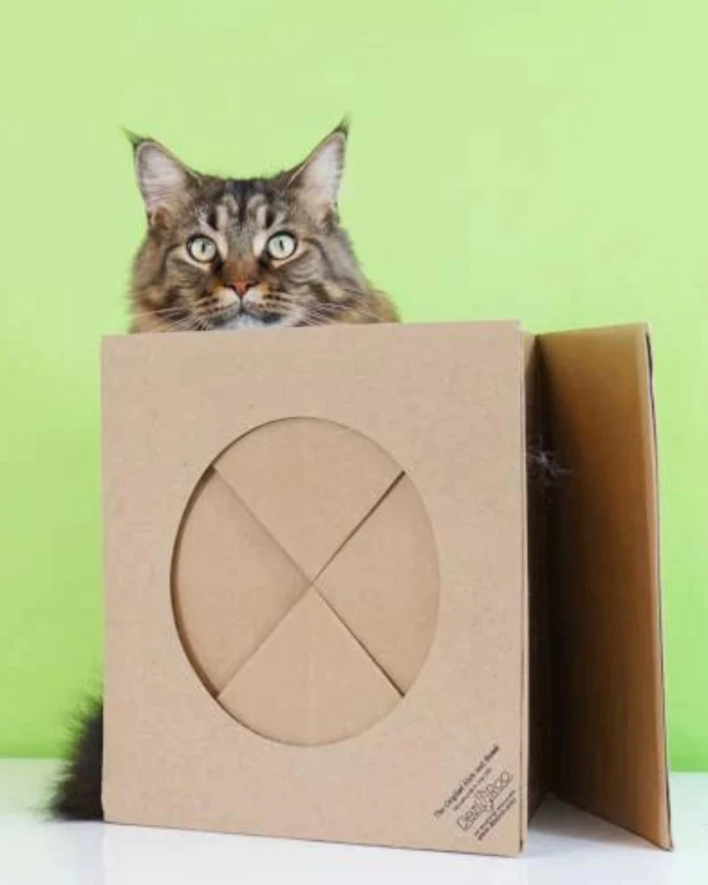 Hide and Sneak Cat Toy Tunnel (Made in the USA) - Image 5