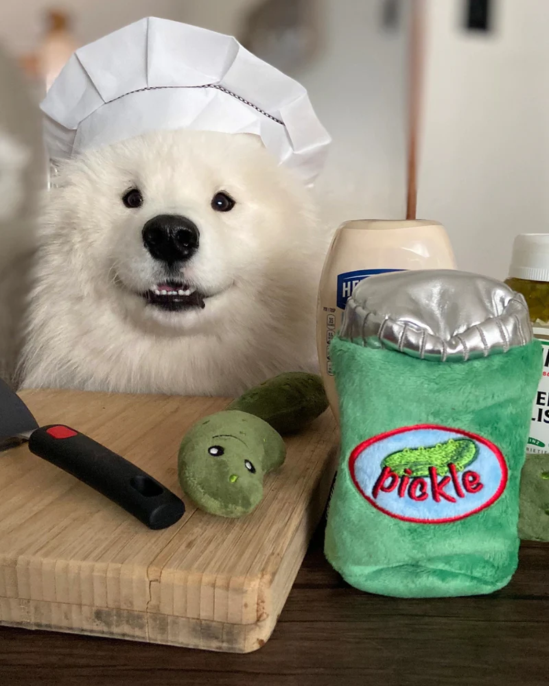 Hide & Seek Pickle Jar Dog Toy - Image 2
