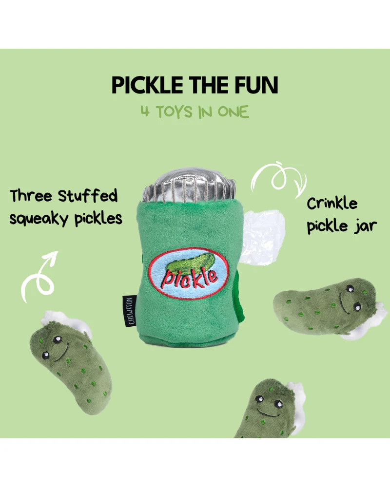 Hide & Seek Pickle Jar Dog Toy - Image 4