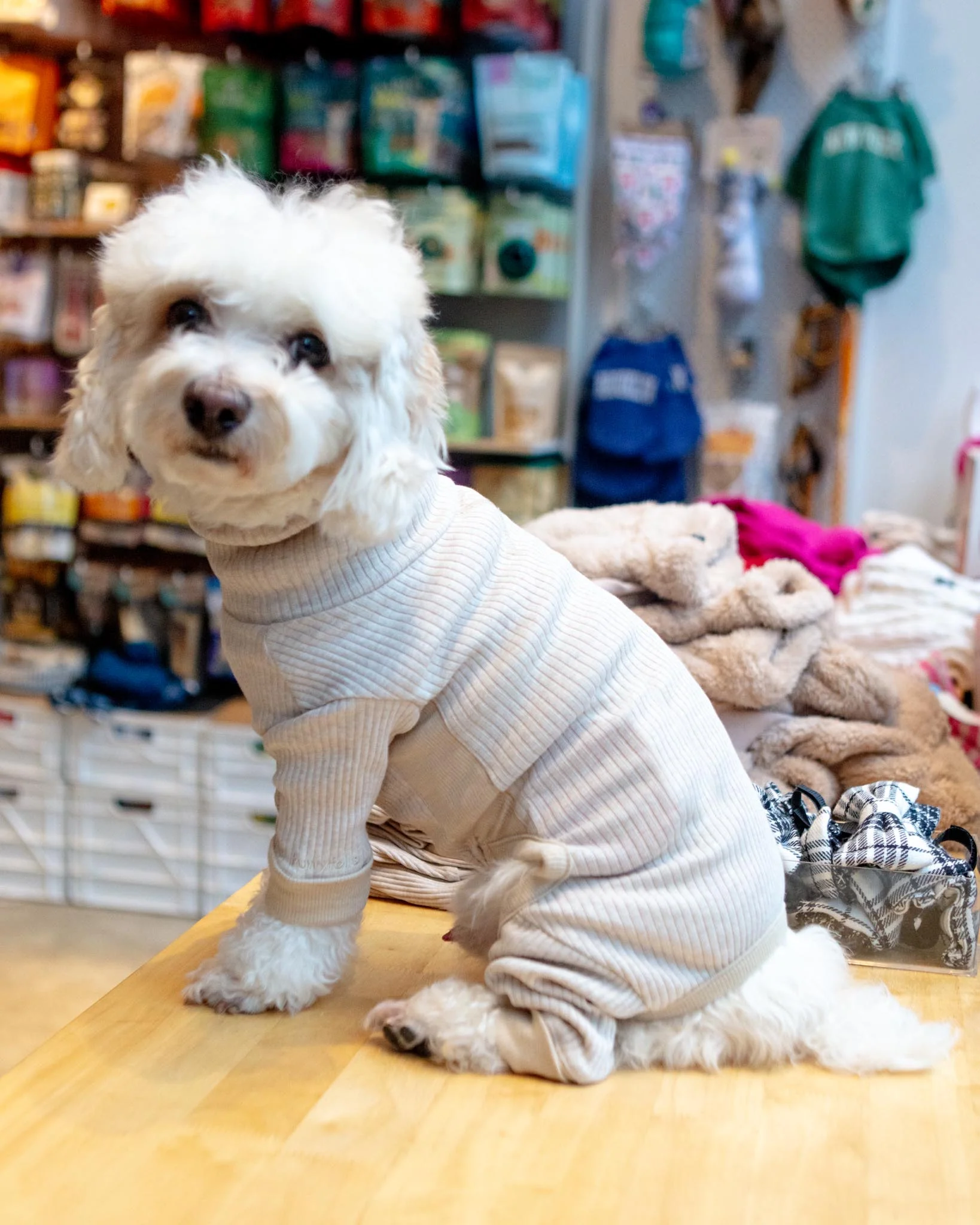 High-Neck Dog Onesie in Beige