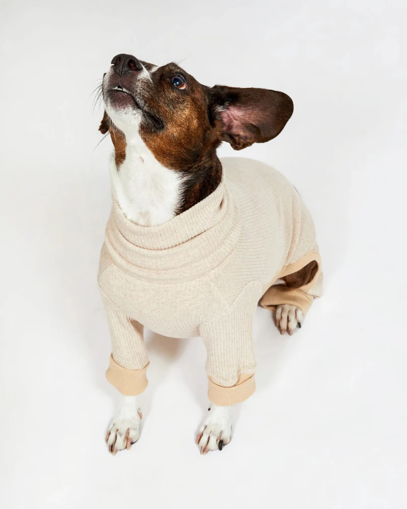 High-Neck Dog Onesie in Beige - Image 5