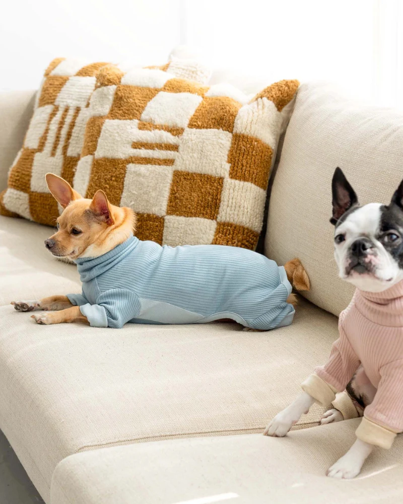 High-Neck Dog Onesie in Light Blue - Image 10