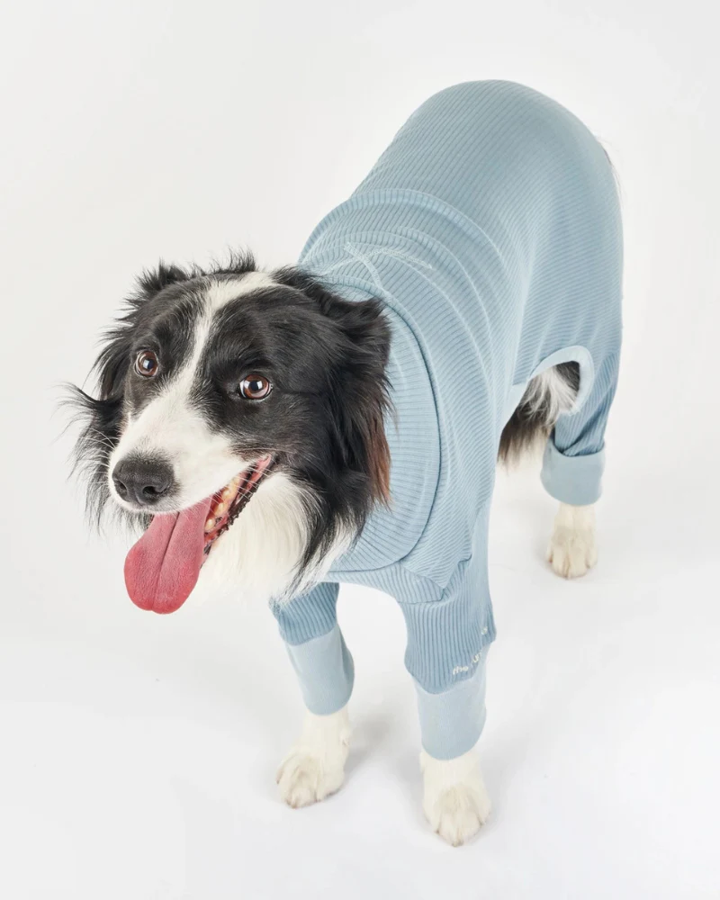 High-Neck Dog Onesie in Light Blue - Image 2