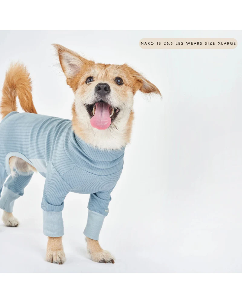 High-Neck Dog Onesie in Light Blue - Image 3