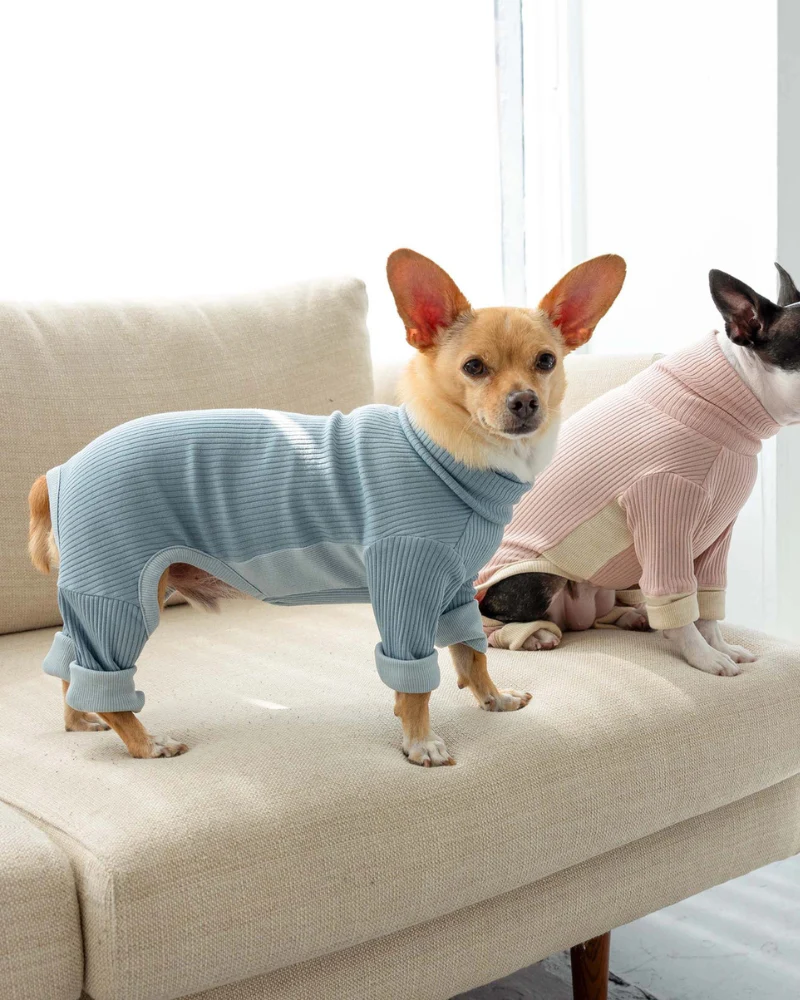 High-Neck Dog Onesie in Light Blue - Image 4