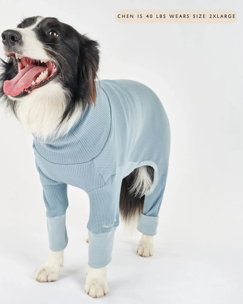 High-Neck Dog Onesie in Light Blue - Image 5