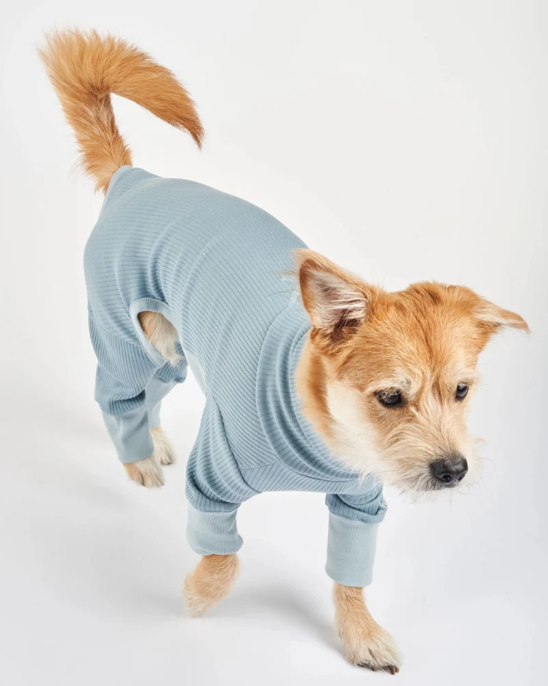 High-Neck Dog Onesie in Light Blue - Image 7