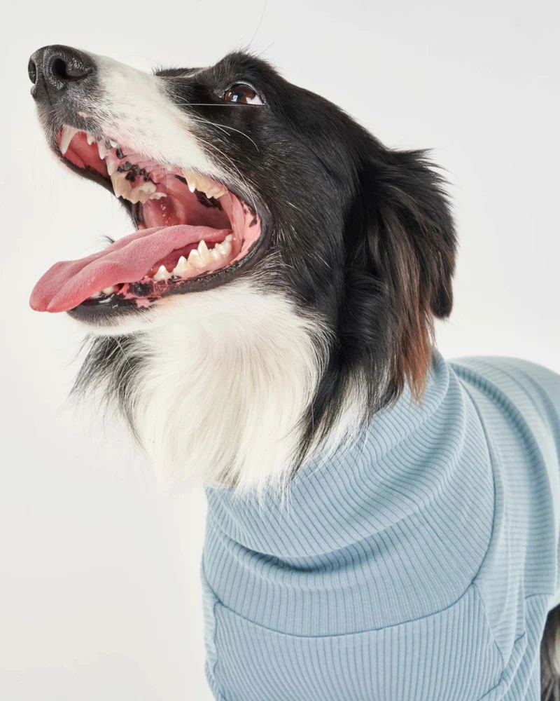 High-Neck Dog Onesie in Light Blue - Image 9