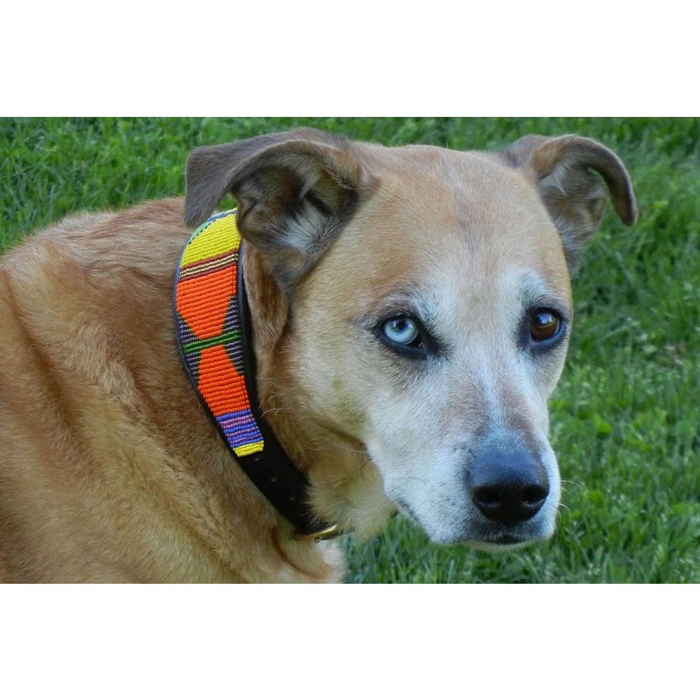Hippo Circus Beaded Leather Dog Collar (FINAL SALE) - Image 6