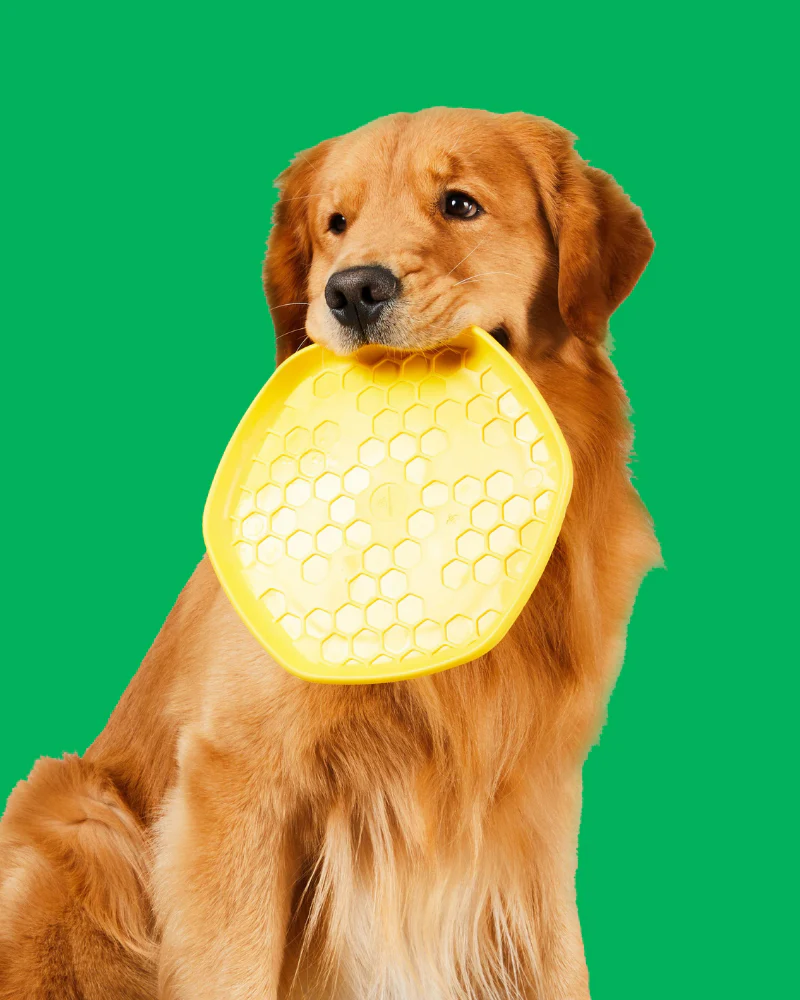 Hive 3-In-1 Dog Disc Toy (Made in the USA) - Image 2
